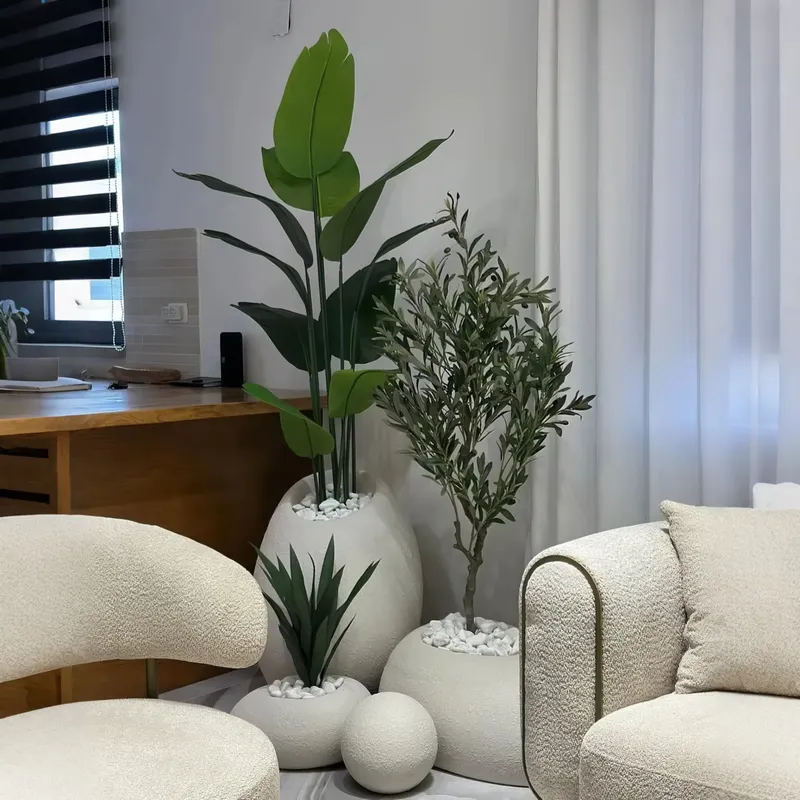 Erstellen Sie Ihre Oase: Beein – Interior Design Your Home Bewertung und Preis
